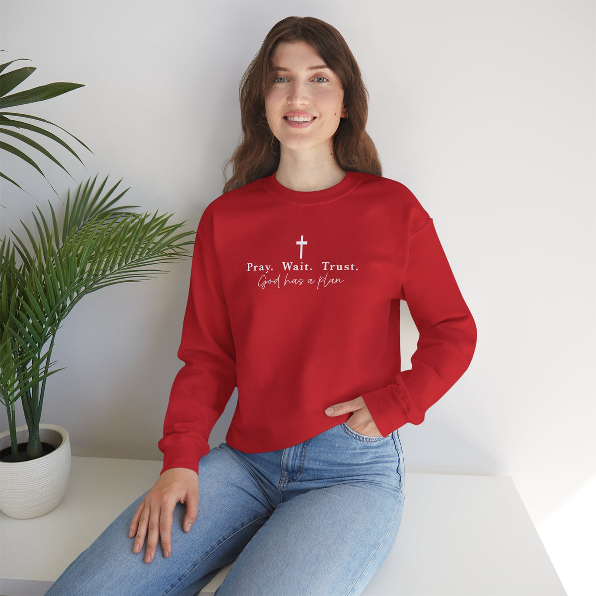 Christian Crewneck Sweatshirt — "Pray. Wait. Trust. God has a plan."