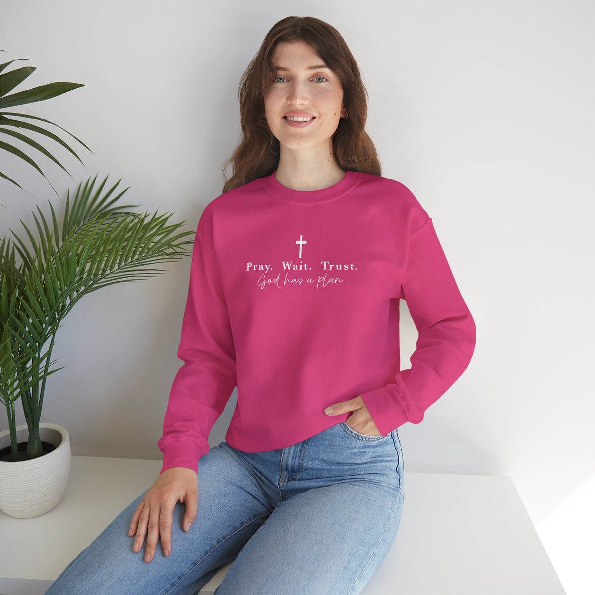 Christian Crewneck Sweatshirt — "Pray. Wait. Trust. God has a plan."