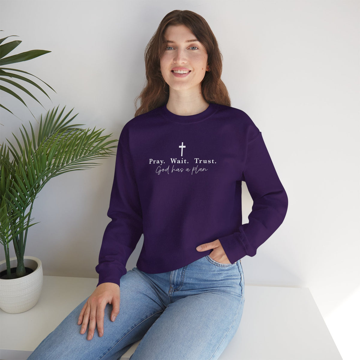 Christian Crewneck Sweatshirt — "Pray. Wait. Trust. God has a plan."