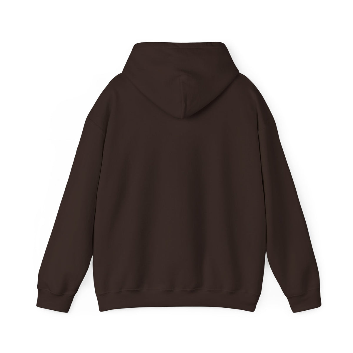 Jesus John 14:6 Hoodie – "The Way The Truth The Life" Christian Pullover